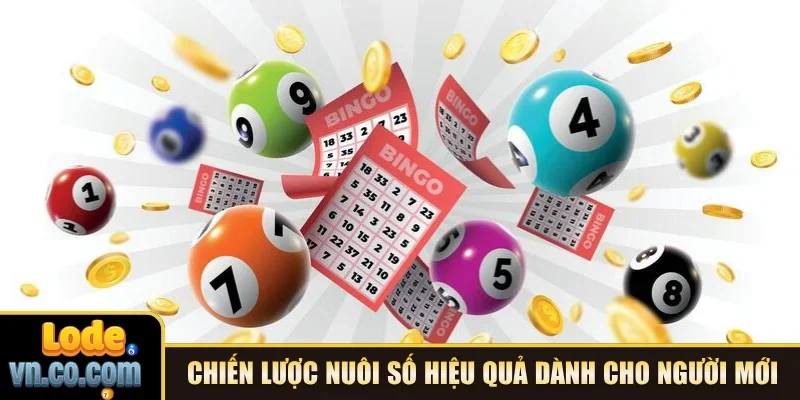 Chiến lược nuôi số hiệu quả dành cho người mới